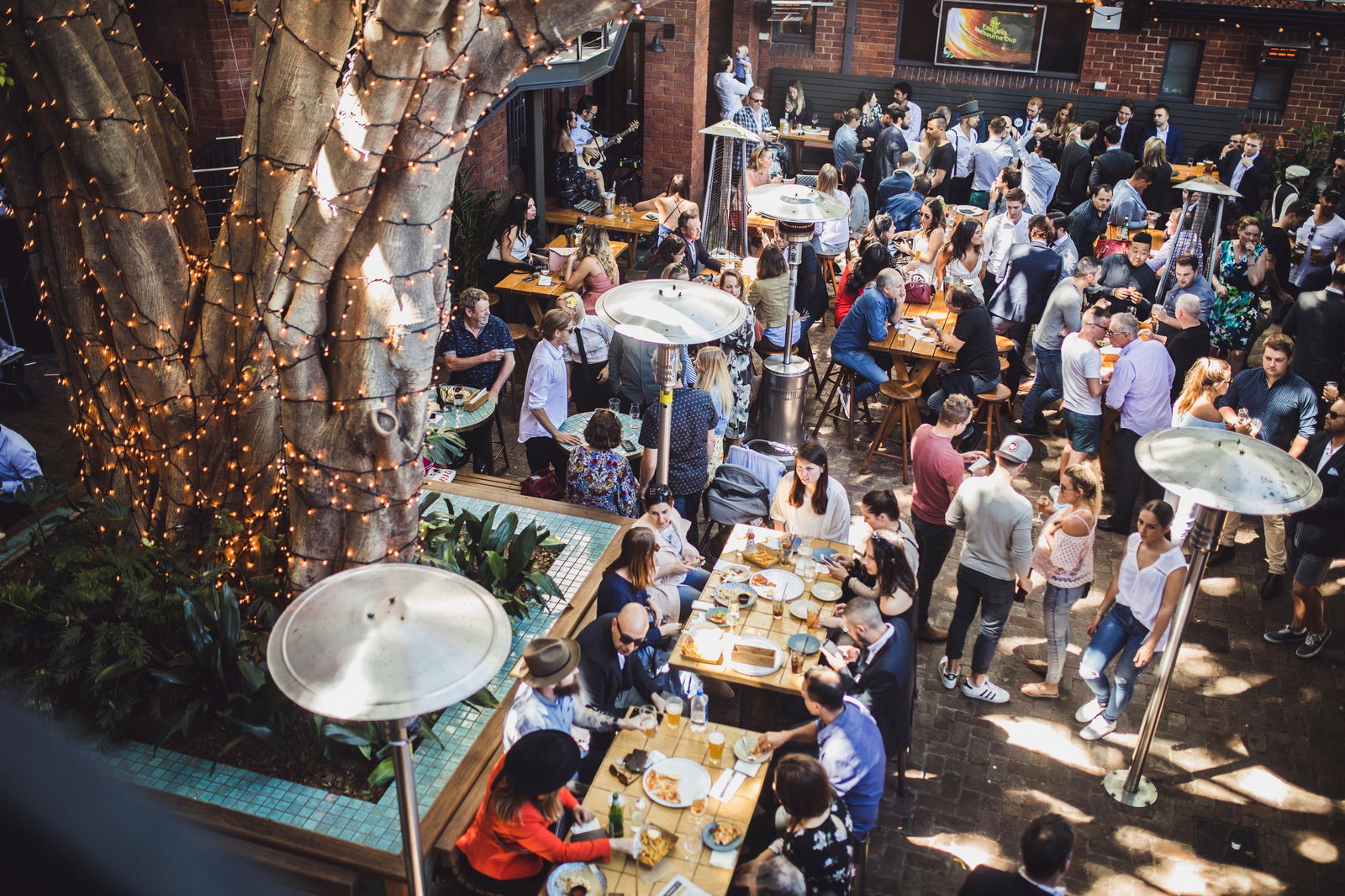 The Golden Sheaf Double Bay