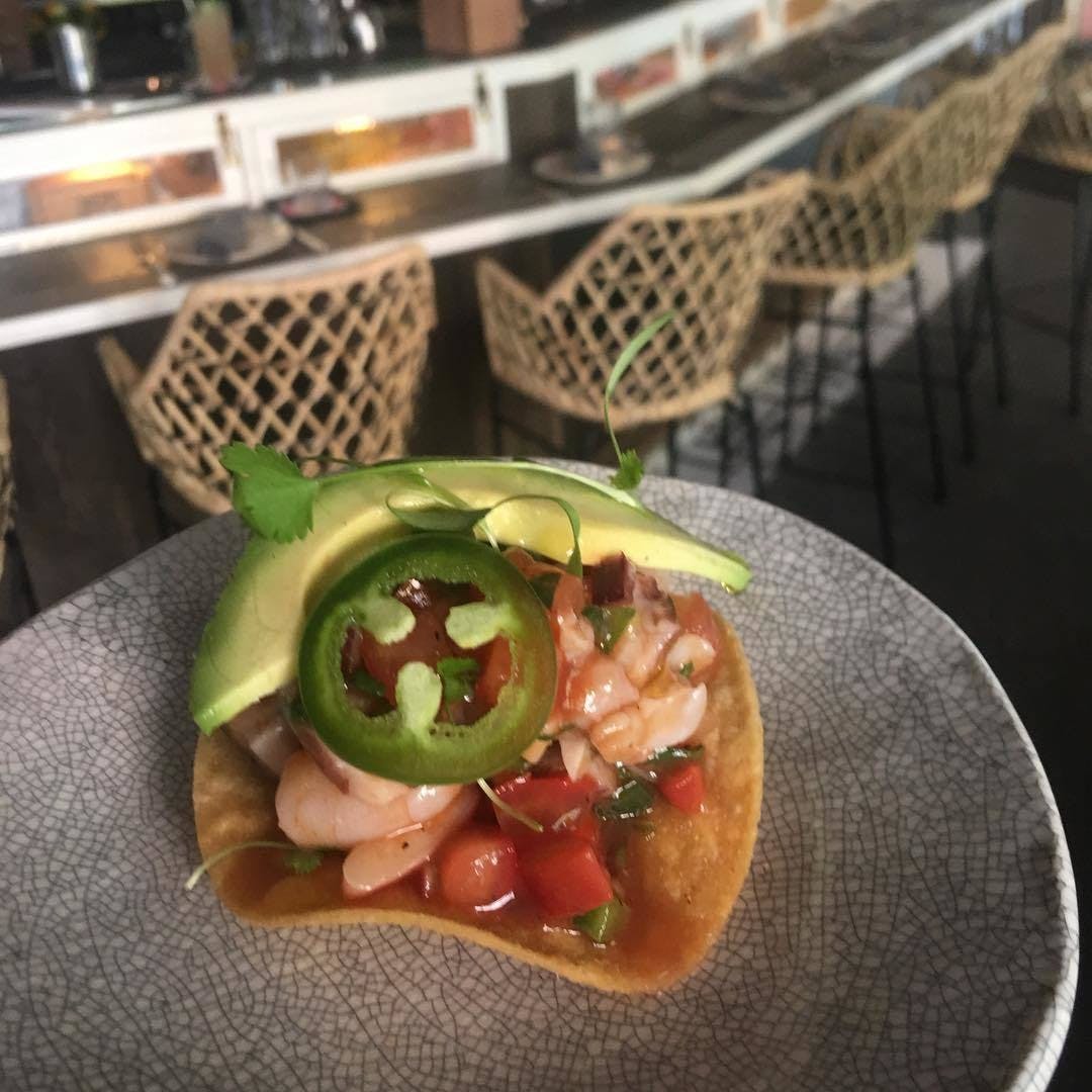 Chula Potts Point
