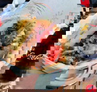 Gyradiko Bexley - Bexley - Book Restaurant