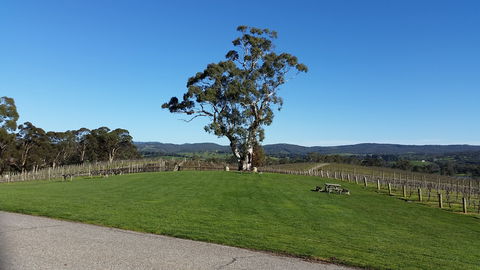 Nepenthe Wines - Book Restaurant 0