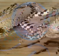 PN's Daily Scoop - Book Restaurant