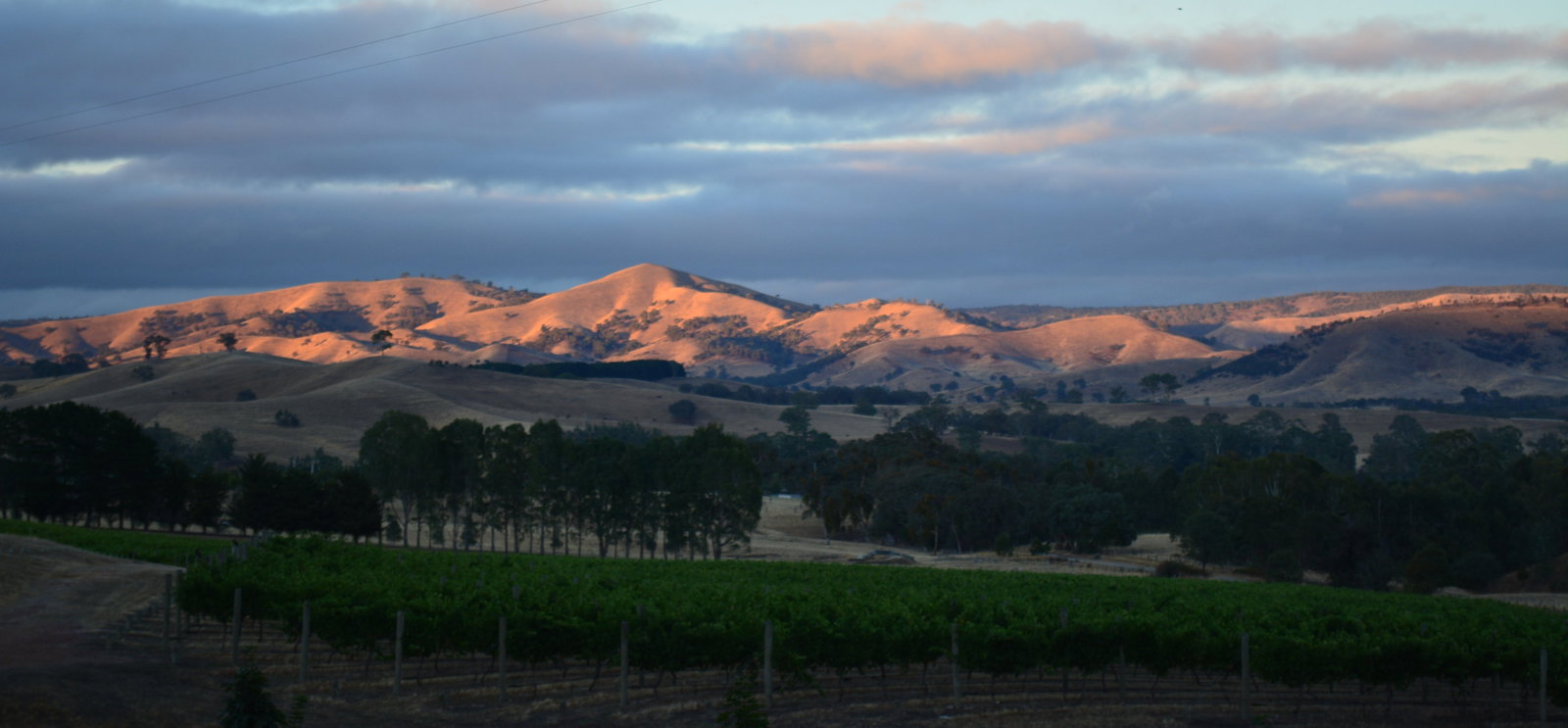 Glenburn VIC Book Restaurant