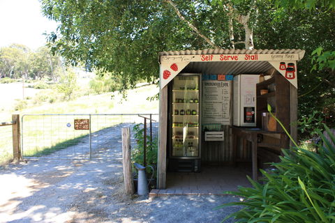Springwood Farm Berries - Book Restaurant 1