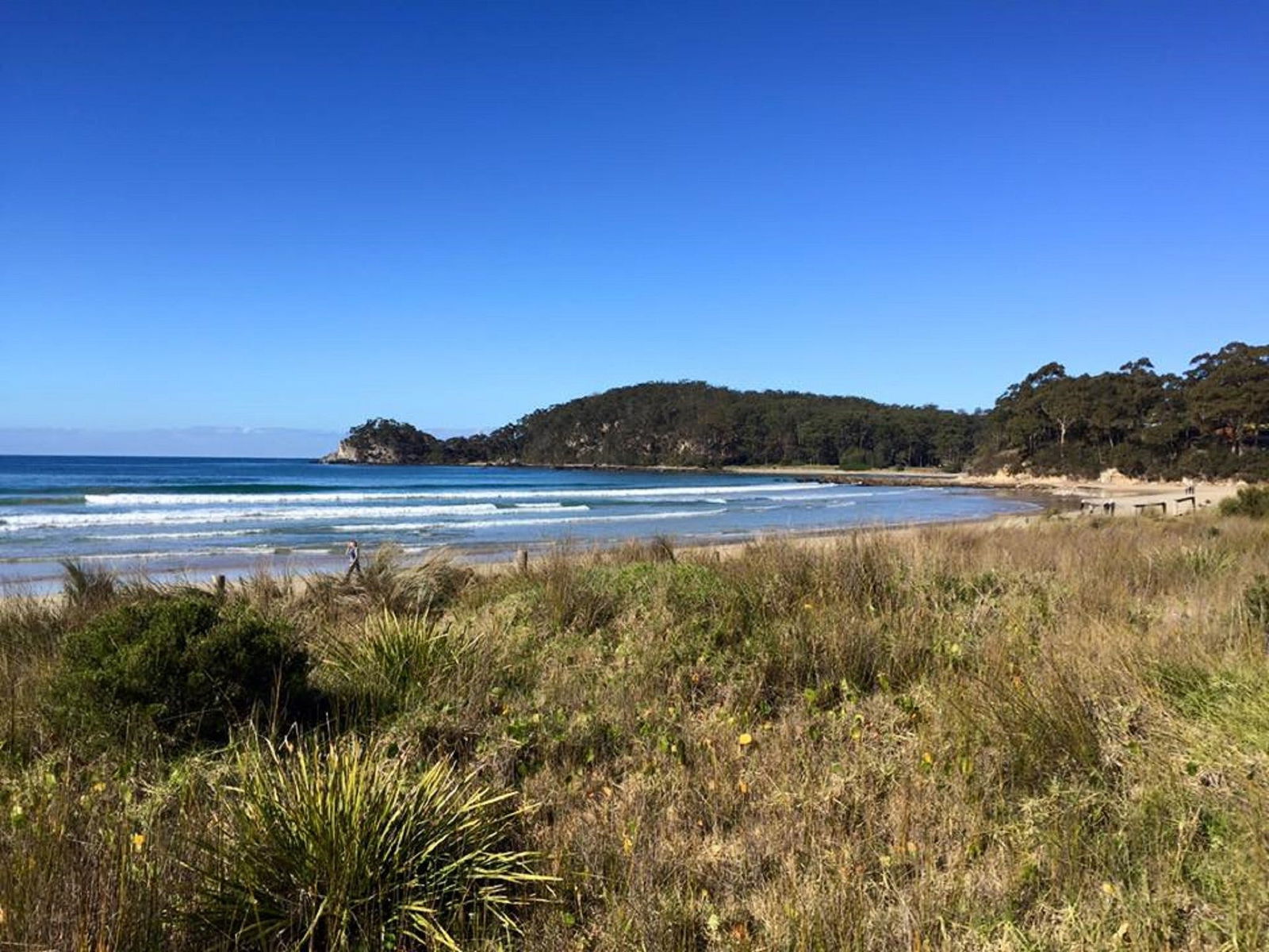 Surf Beach NSW Book Restaurant