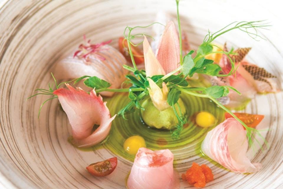 TARA SUSHI BAR Surry Hills