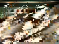 Bronte Takeaway and Bronte Book Restaurant Book Restaurant