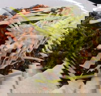 Dede Indonesian and Thai - Book Restaurant