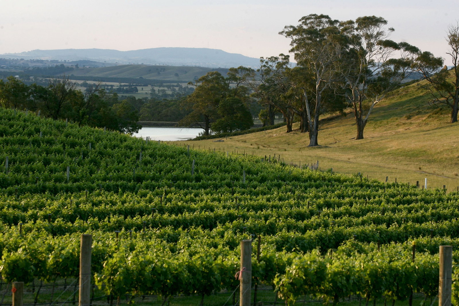 Baynton VIC Book Restaurant