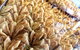 Hawat Pastry - thumb 0