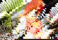 Wildernis Cafe and Bar