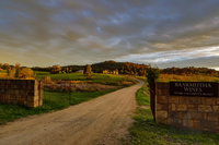 Baarmutha Wines