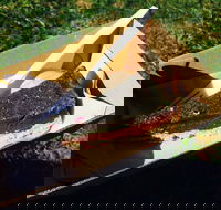 Byron Juice Bar - Book Restaurant