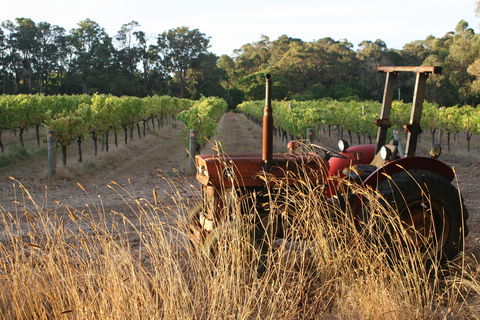 Cape Grace Wines - Book Restaurant 2