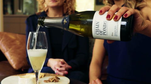Adelaide Hills-Billies Cheese & Wine Tasting - Book Restaurant 2