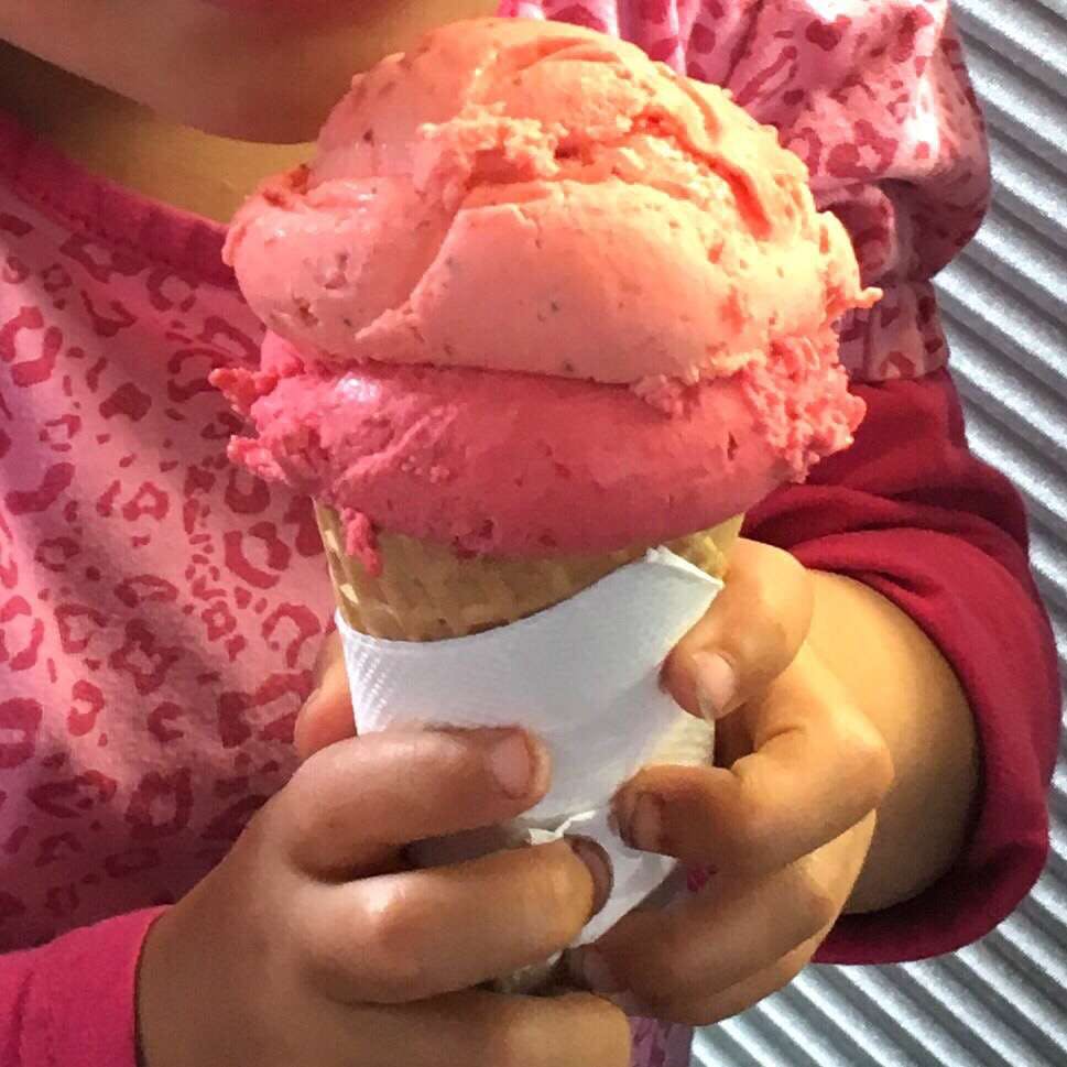 Bellingen NSW Book Restaurant