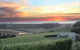 Cape Bernier Vineyard - thumb 0