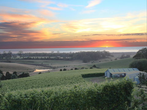 Cape Bernier Vineyard - Book Restaurant 0