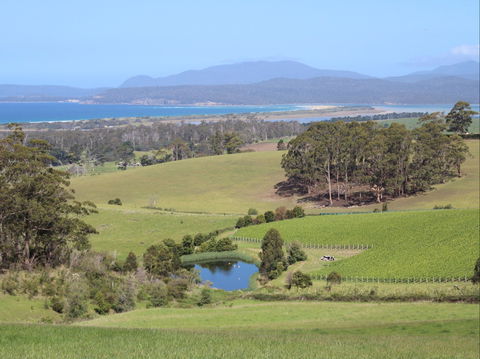 Cape Bernier Vineyard - Book Restaurant 1