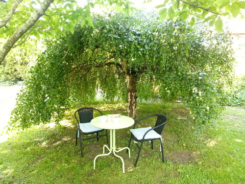 Earthwater Cafe - Book Restaurant 0