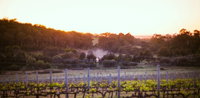 Howling Wolves Wines