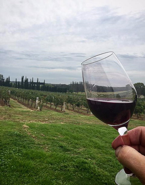 Lake's Folly Vineyard - Book Restaurant 2