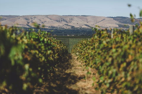 Mr. Riggs Wine Co. - Book Restaurant 1