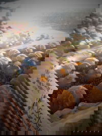 Pompadours Chocolate House