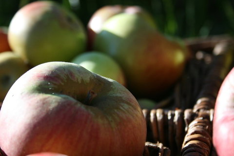 Denmark Heritage Cider Company - Book Restaurant 0