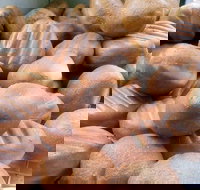 Hot Doughnuts - Book Restaurant