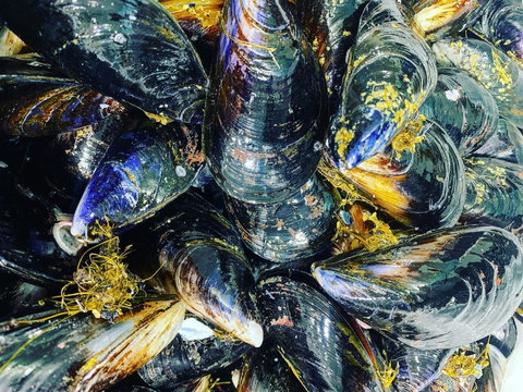 Pearly Oyster Bar And Farm - Book Restaurant 2