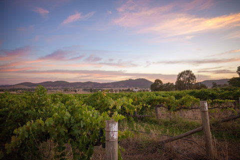 Thistle Hill Wines - Book Restaurant 2