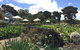 Basils Farm - thumb 2