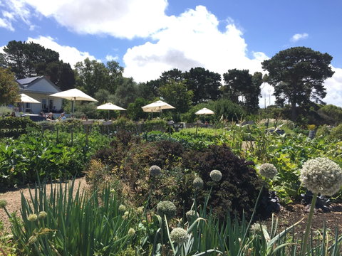 Basils Farm - Book Restaurant 2