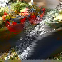 Love Juice Superfood Bar