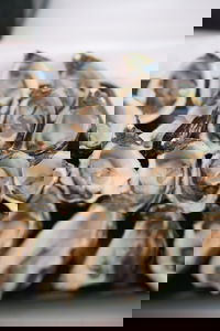 Port Pirie Takeaway and Port Pirie Book Restaurant Book Restaurant