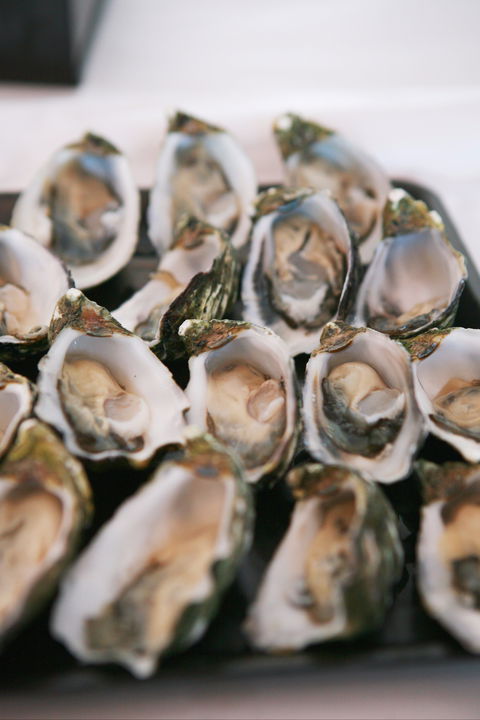 S.D. Caputo And Sons - Book Restaurant 0