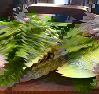 The Cube Hot Pot - Book Restaurant