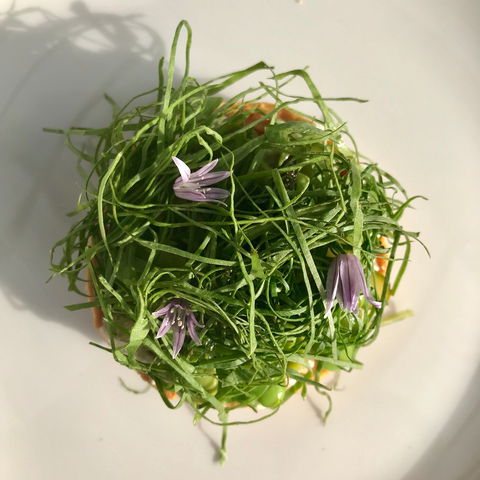 Drink Ottelia + Eat Fodder - Book Restaurant 1