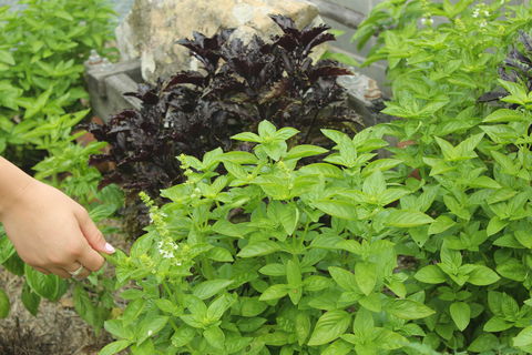 Hillview Herb Farm - Book Restaurant 1