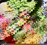 North STN - Book Restaurant