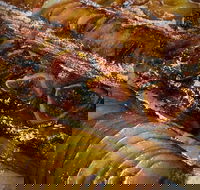 Queens Pastri House - Book Restaurant