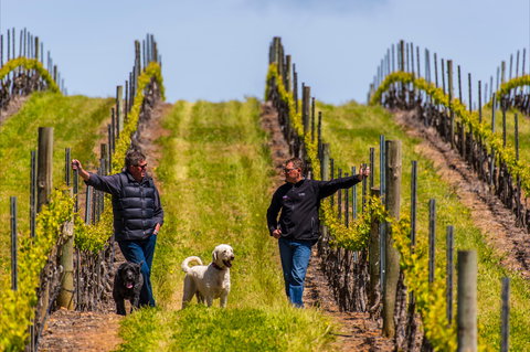 Tim Adams Wines - Book Restaurant 2