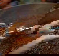 Yahava Koffeeworks - West Swan - Book Restaurant