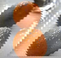 Zinger Taj - Book Restaurant