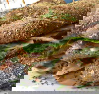 Bean Out - Book Restaurant