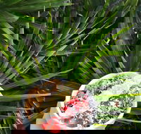 Red Cardinal Cafe and Catering - Book Restaurant