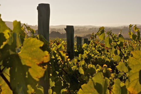 Wimbaliri Wines - Book Restaurant 0