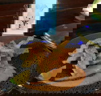 Cocina Mexican Grill and Cantina - Book Restaurant