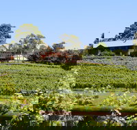 djinta djinta Winery - Book Restaurant