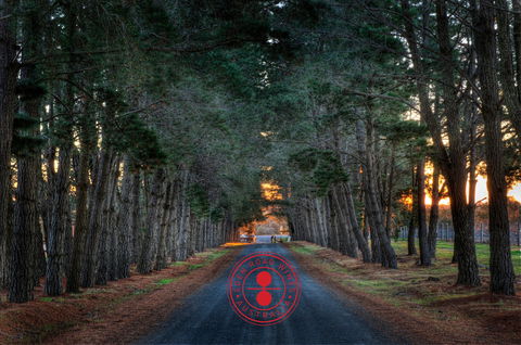 Eden Road Wines - Book Restaurant 1